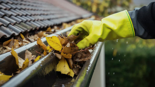 Why Gutter Cleaning Is Essential for Home Protection